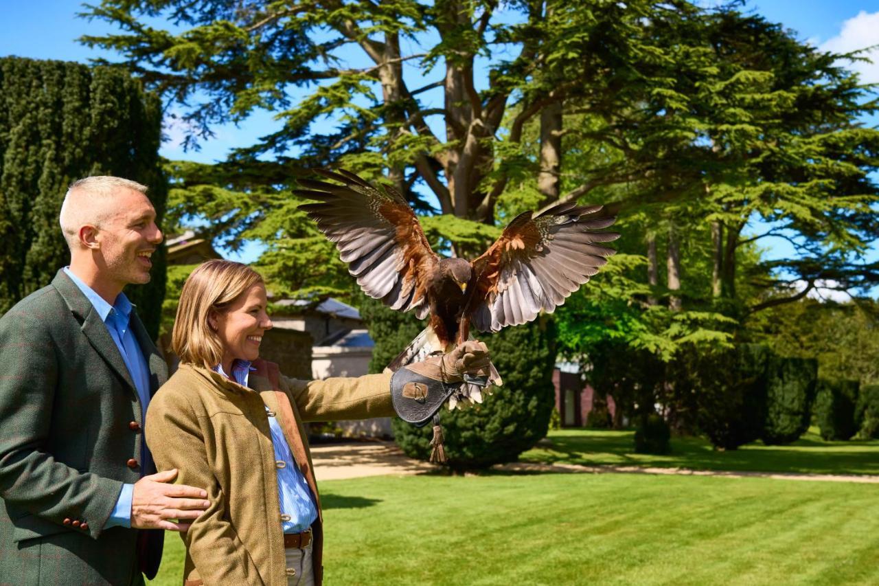 Carton House A Fairmont Managed Hotel Maynooth Esterno foto Visitors at the Hawk Conservancy Trust