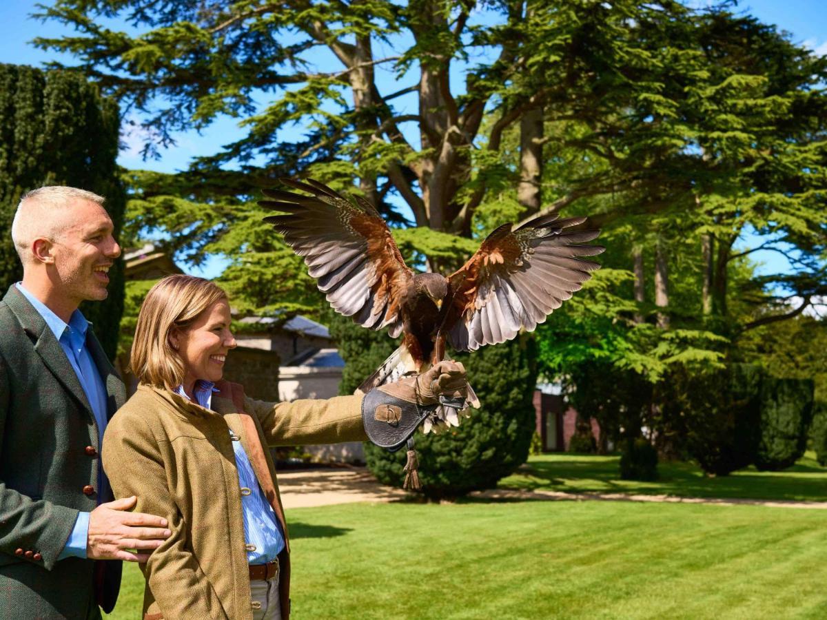Carton House A Fairmont Managed Hotel Maynooth Esterno foto Falconry at the London Zoo
