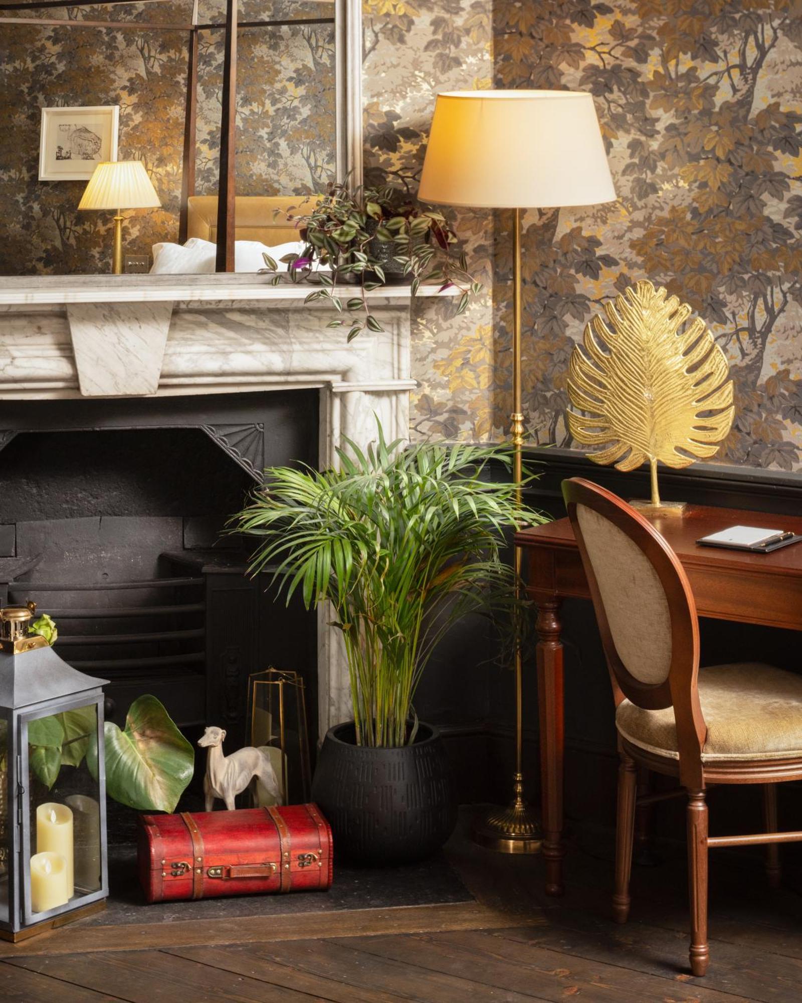 Carton House A Fairmont Managed Hotel Maynooth Esterno foto A houseplant